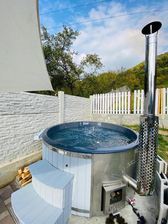 Green Hill Villa Călimăneşti 외부 사진