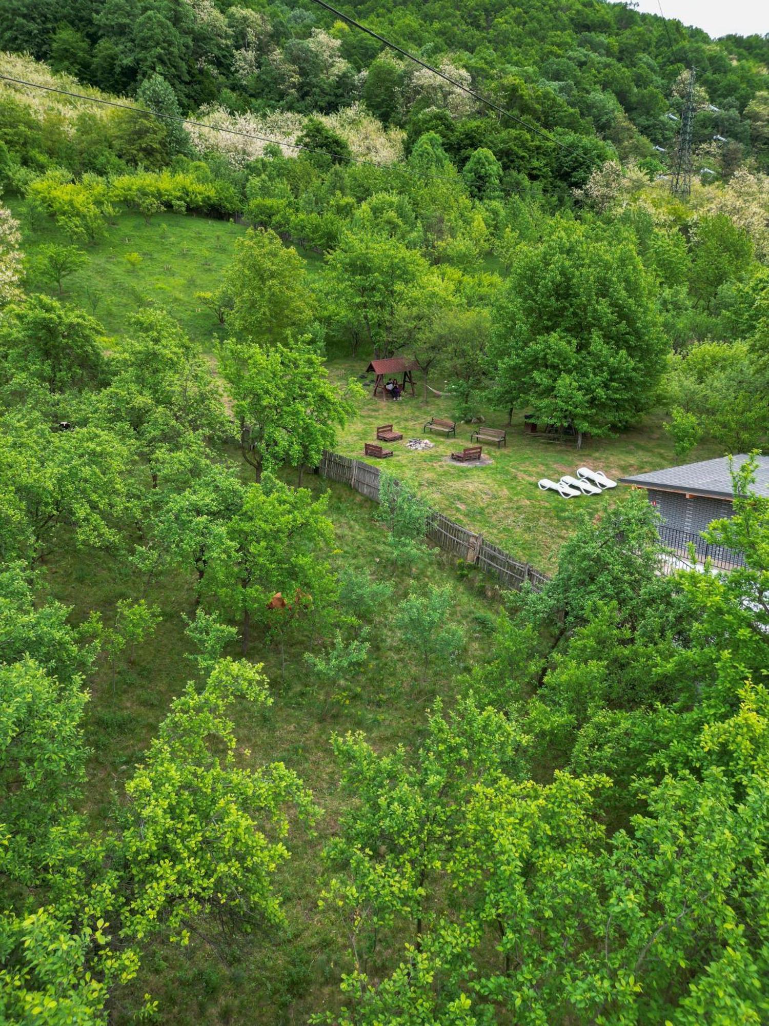 Green Hill Villa Călimăneşti 외부 사진